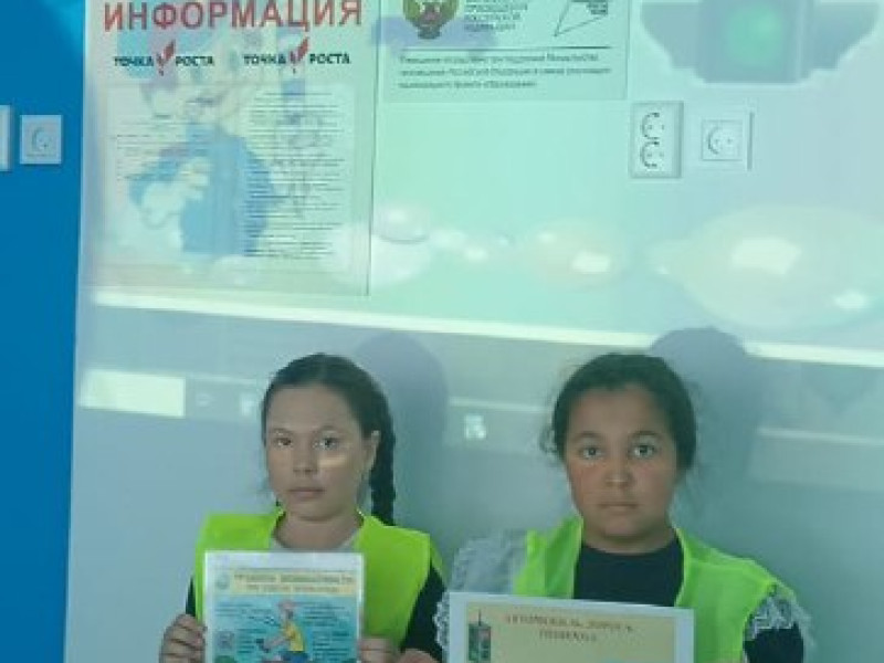 Профилактическое мероприятие "Дни детской дорожной безопасности".